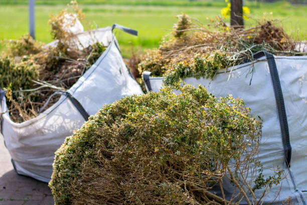 Best Yard Waste Removal  in Foster Brook, PA